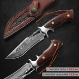 Coltello a lama fissa in acciaio Damasco Full Tang Omesio