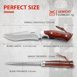 Omesio  L-PJ25H Fixed Blade Knife with Sheath Survival Knife M390 Steel
